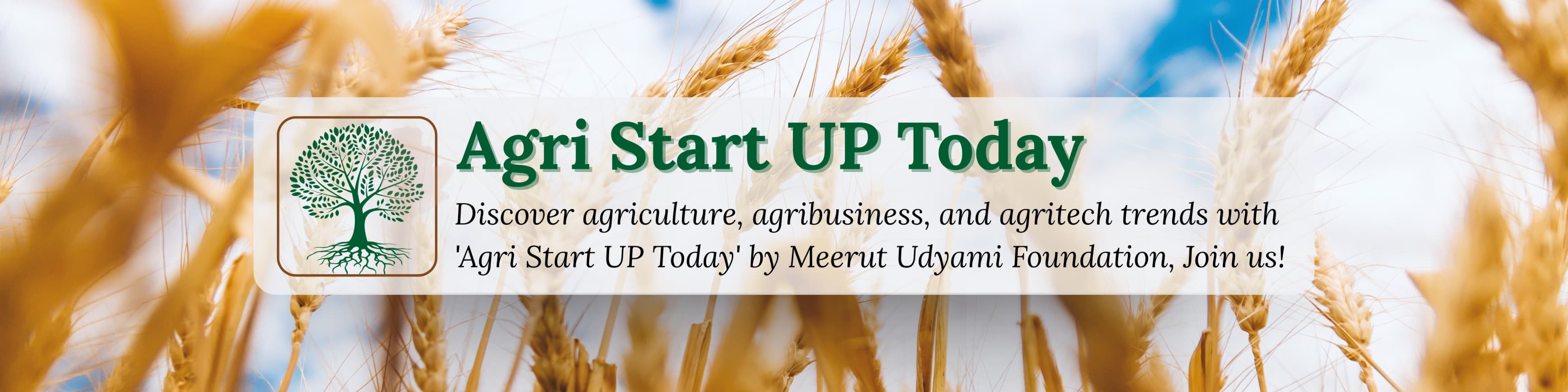 E-Cell Blog - Entrepreneurship Insights and Stories from MIT Meerut