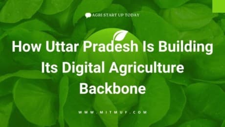 Featured image for When Technology Walks with the Farmer; Not Ahead of Them